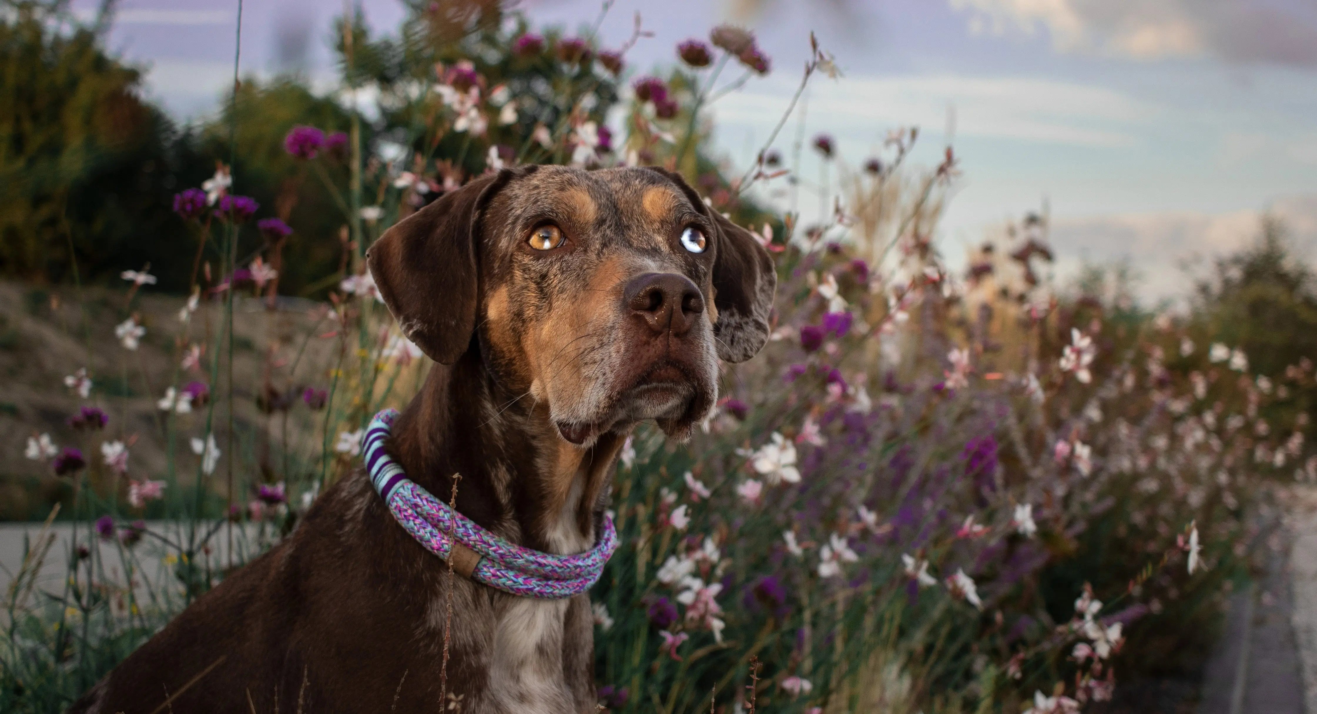 Design-your-own Exceptional