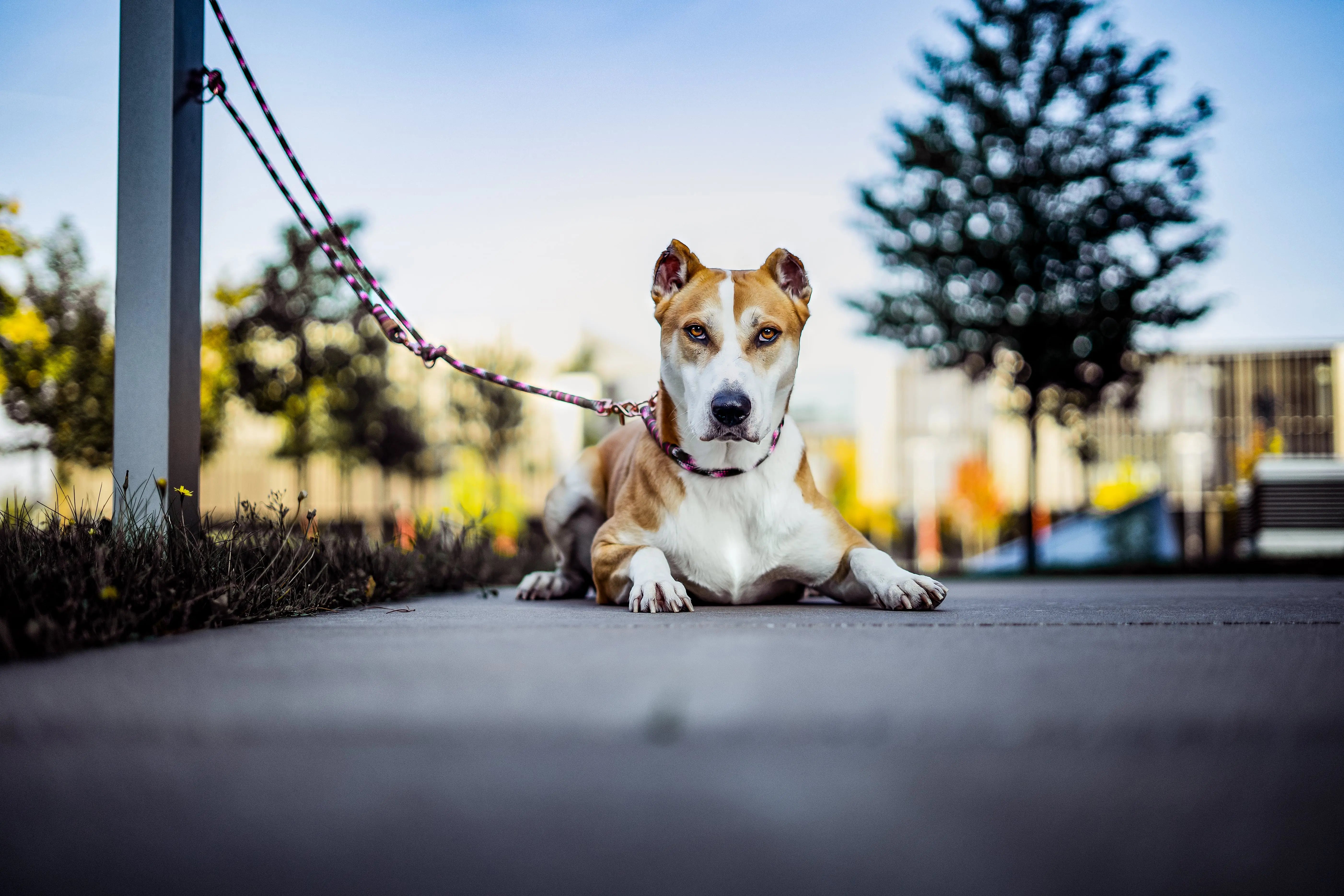 Entdecke-unsere-Bestseller Exceptional