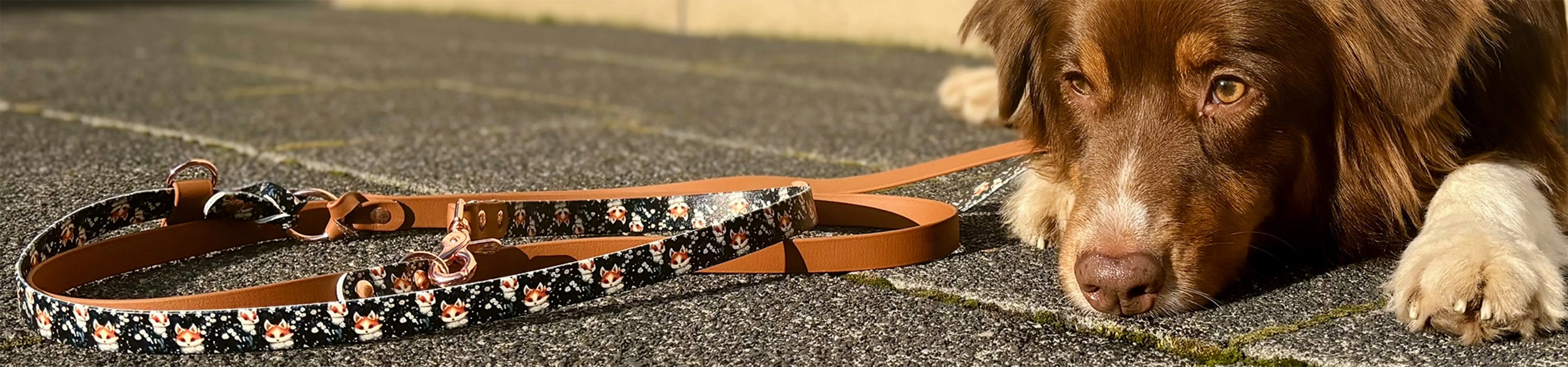 Hundeleinen-aus-BioThane Exceptional