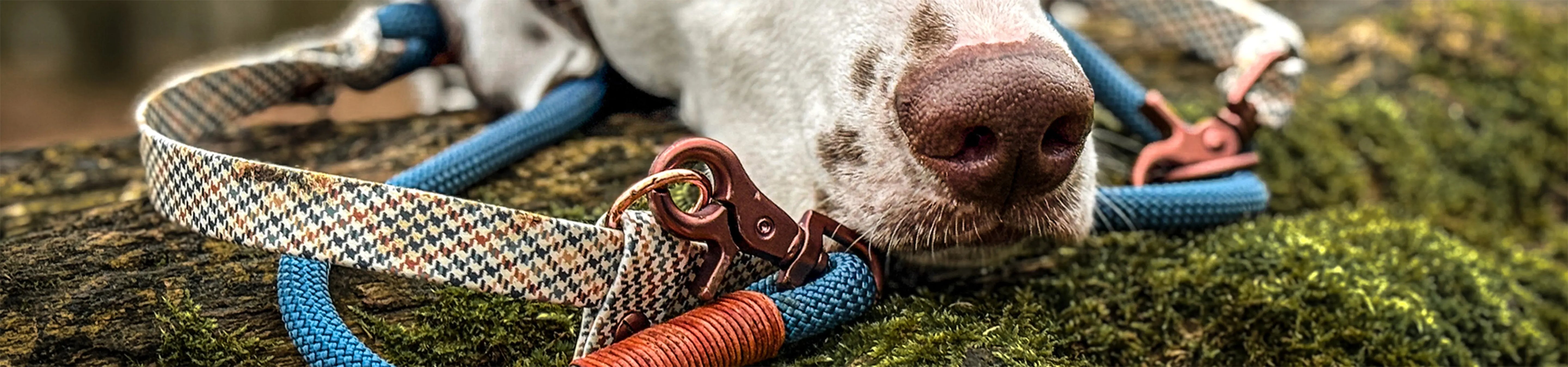 Hundeleinen-aus-Tau-x-BioThane Exceptional