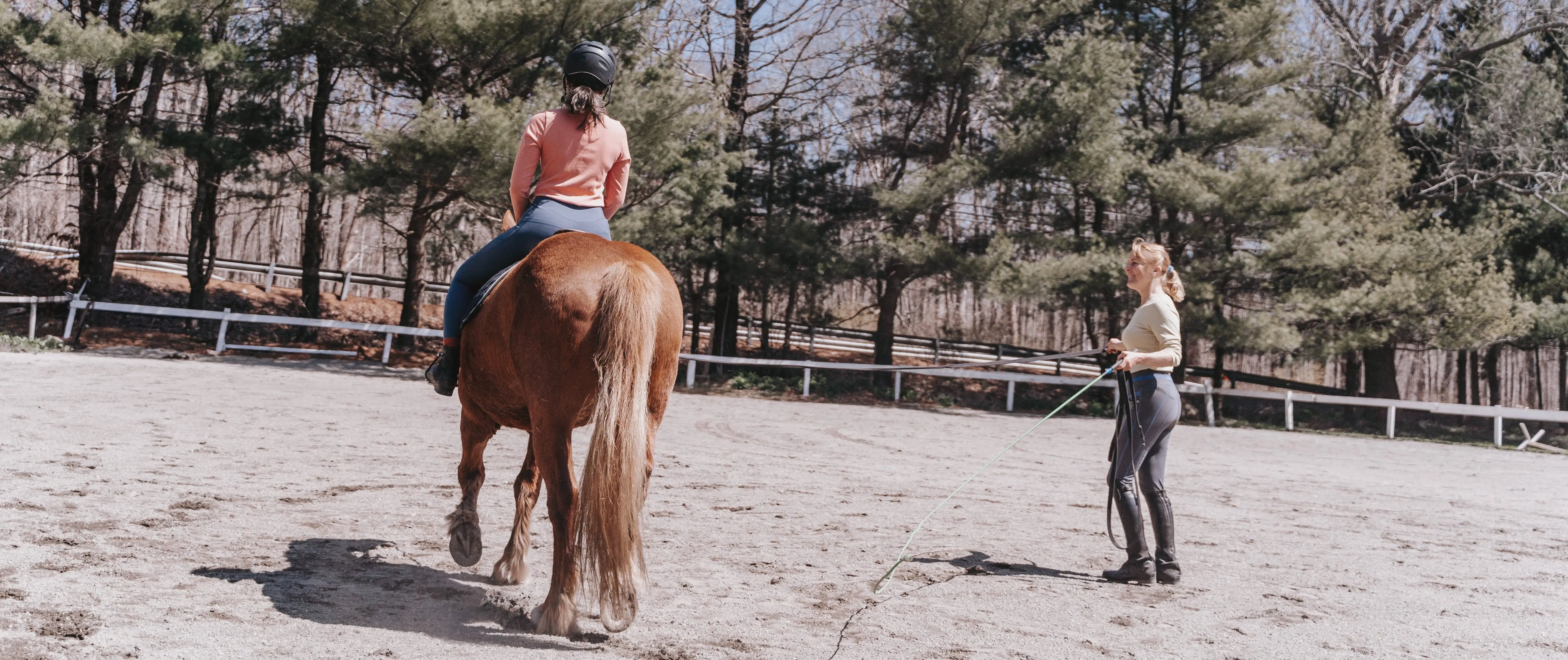 Sidepull Exceptional