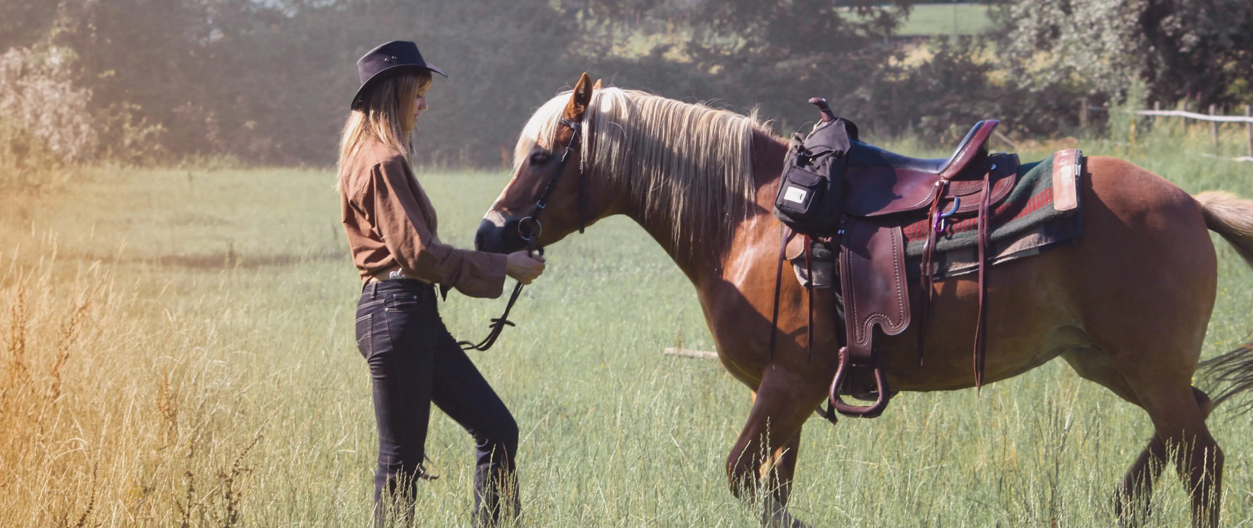 Wanderreiten Exceptional