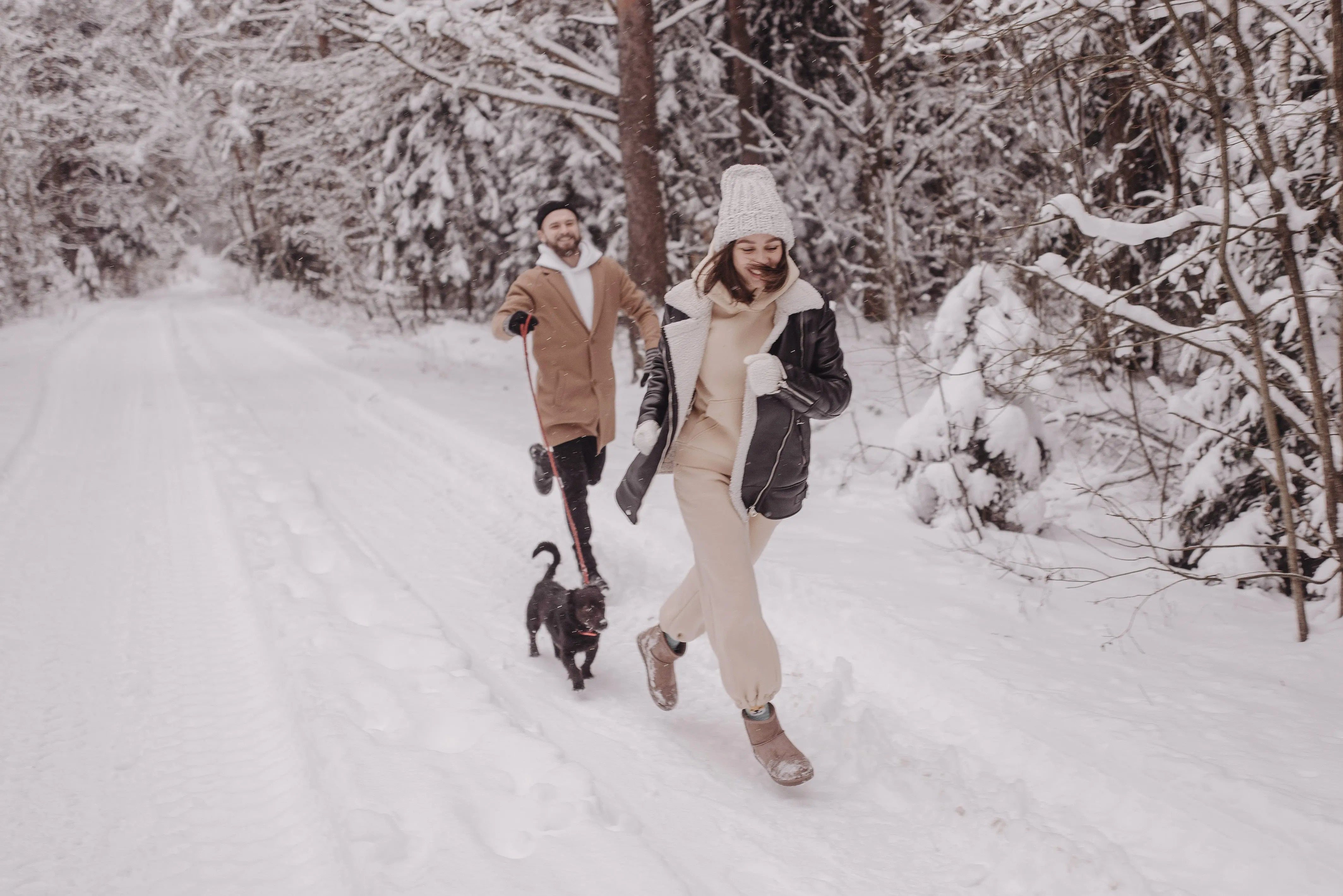 BioThane-Produkte-für-Hunde Exceptional