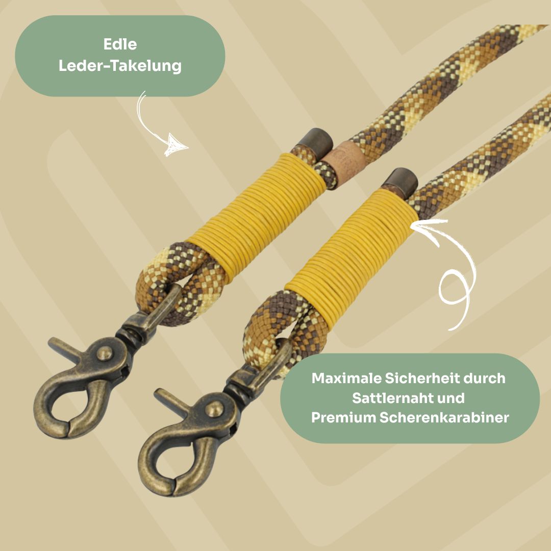 Set | Tauhalsband und Leine 'Golden Dune'
