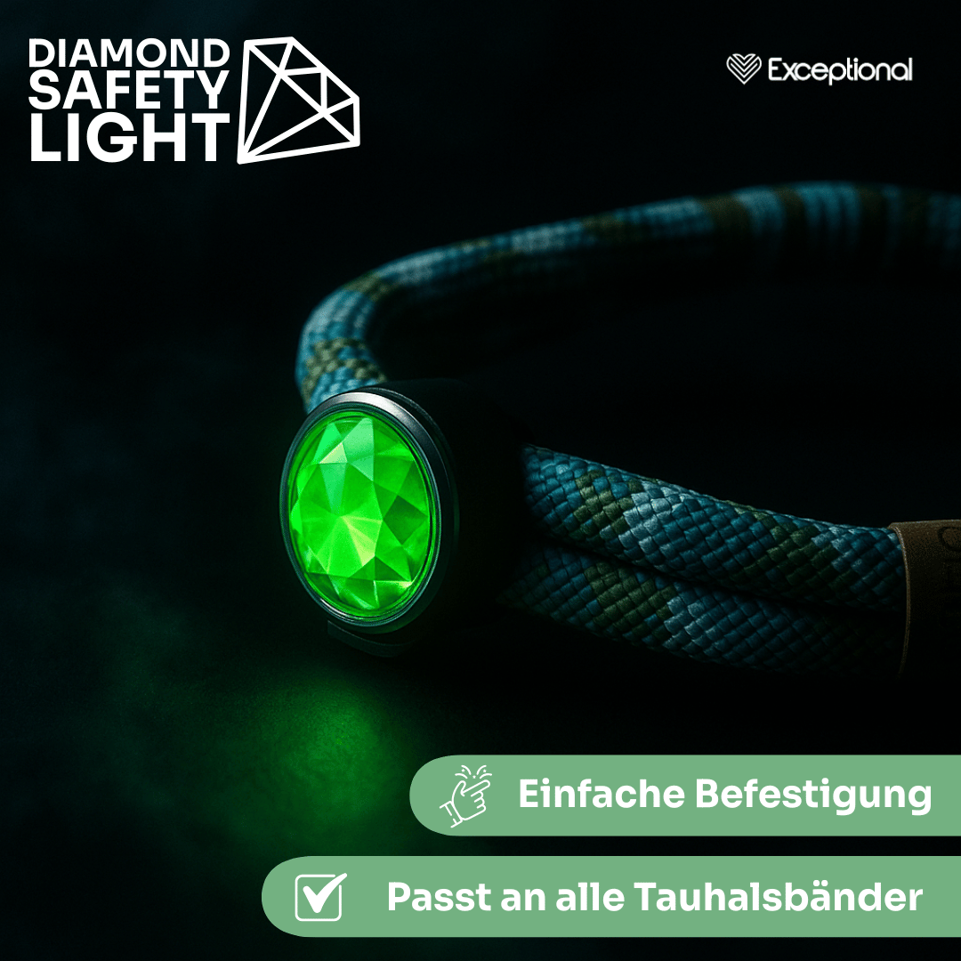 Diamond Safety Light – LED-Sicherheitslicht für Hunde