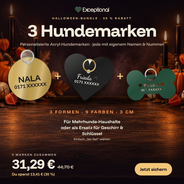 Hundemarke aus Acryl – personalisiert mit Name & Telefonnummer