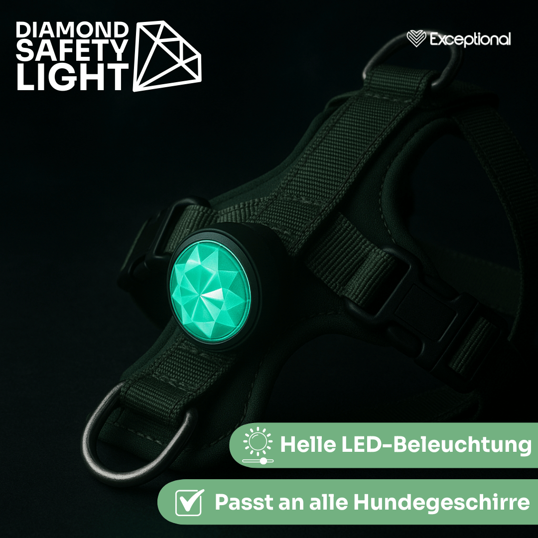 Diamond Safety Light – LED-Sicherheitslicht für Hunde