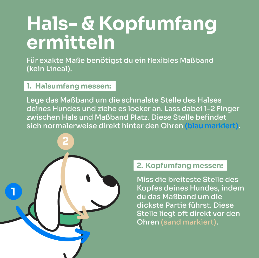 Set | Tauhalsband und Leine 'Pistachio Grace'