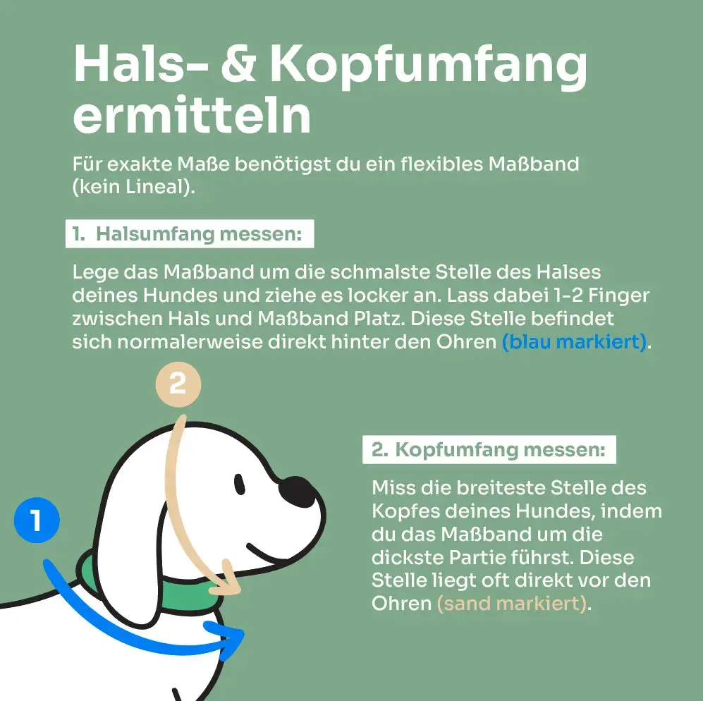 Zugstopp-Halsband aus Tau 'Pistachio Grace' Exceptional - Manufaktur mit Herz