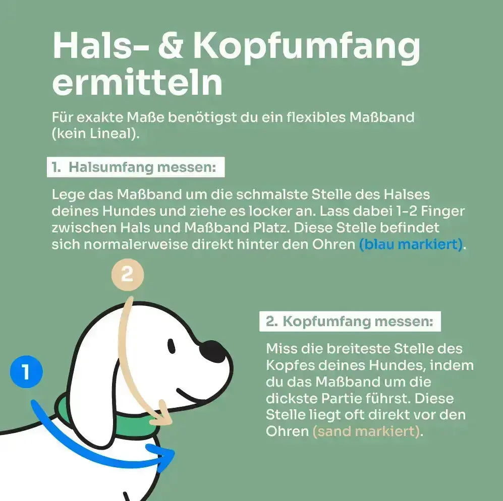 Set | Tauhalsband und Leine 'Forest Rose' Exceptional - Manufaktur mit Herz