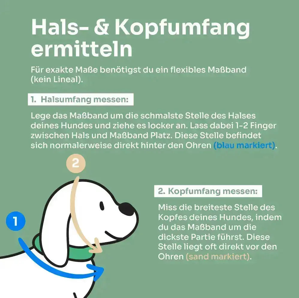 Set | Tauhalsband und Leine 'Forest Rose' Exceptional - Manufaktur mit Herz