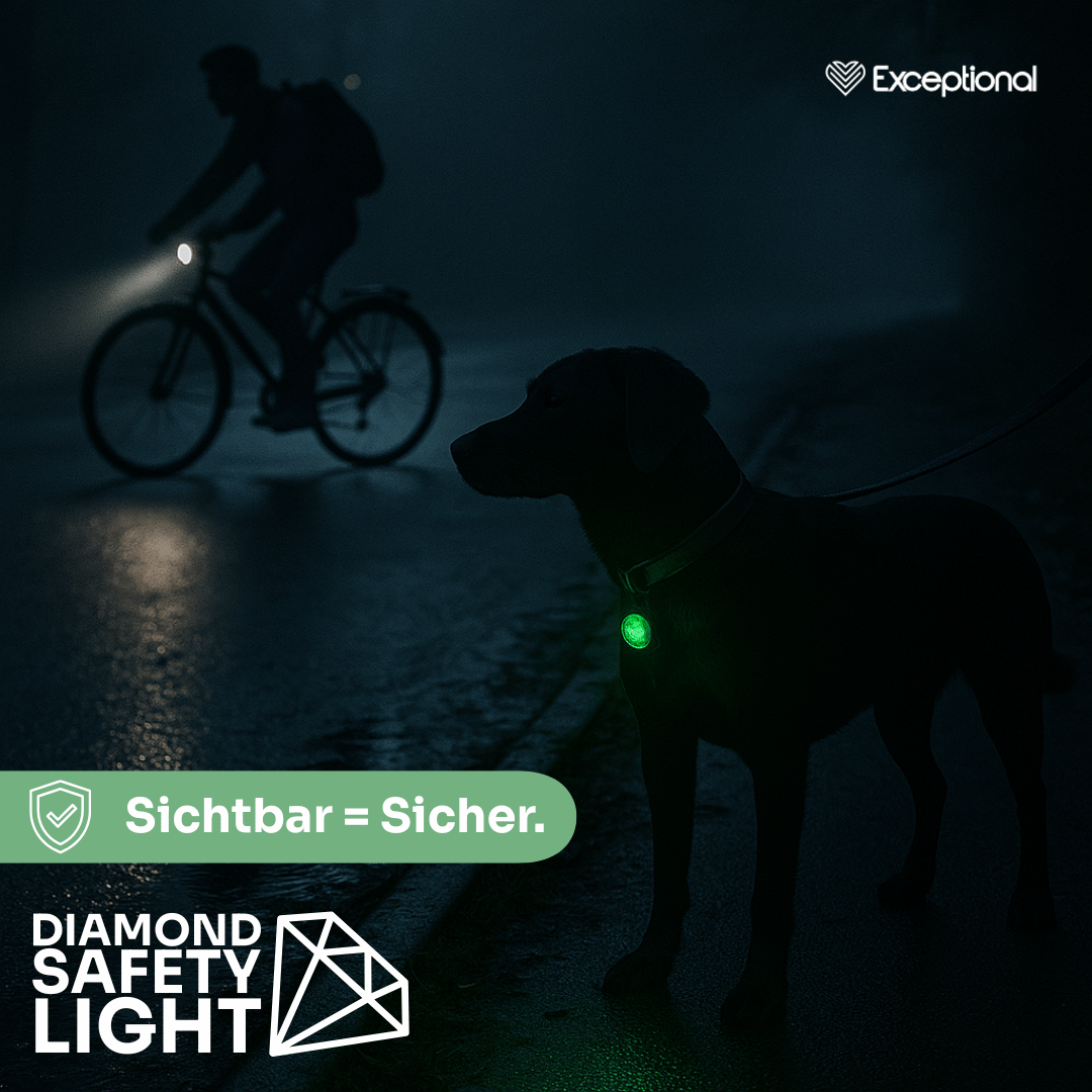 Diamond Safety Light – LED-Sicherheitslicht für Hunde
