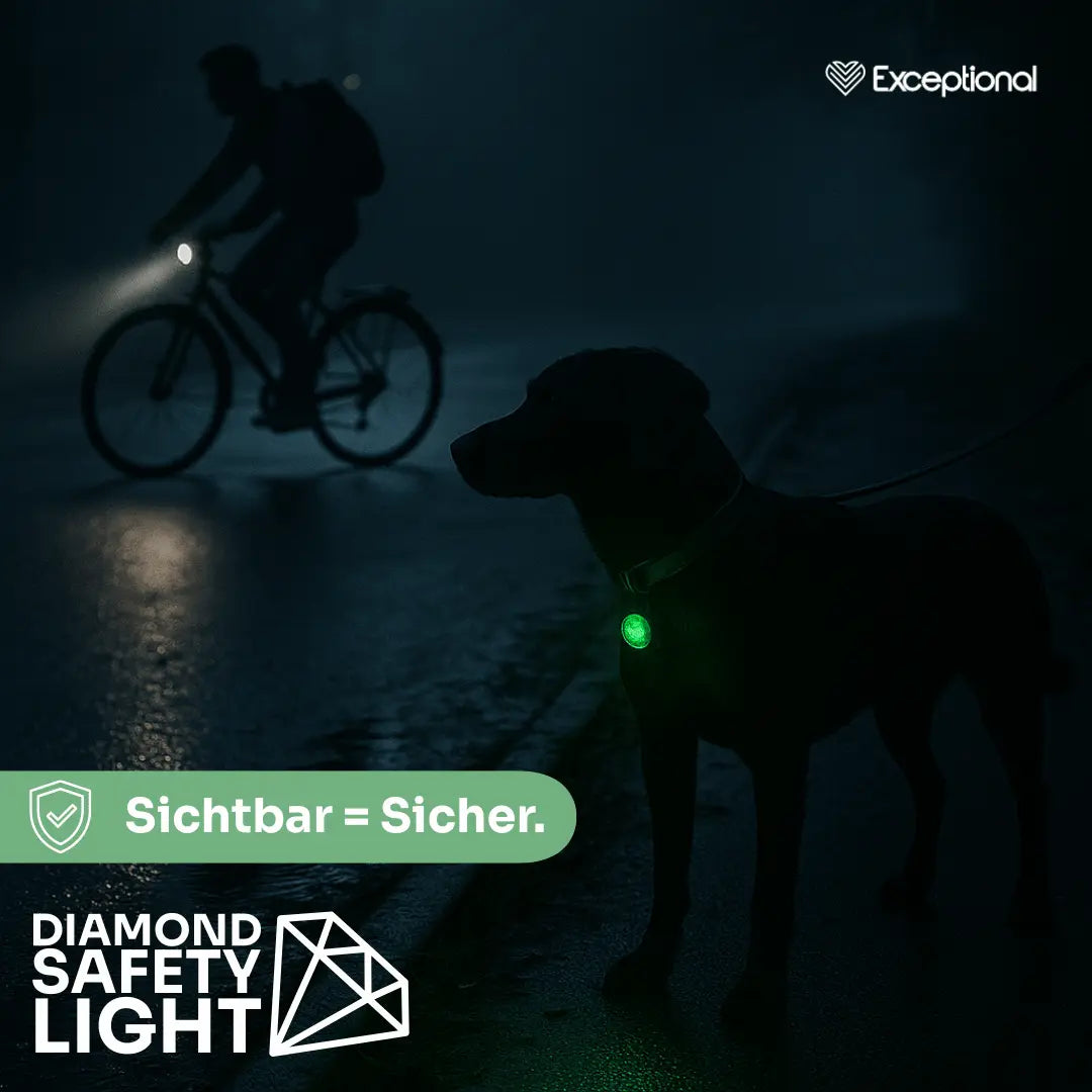 Diamond Safety Light – LED-Sicherheitslicht für Hunde Exceptional - Manufaktur mit Herz