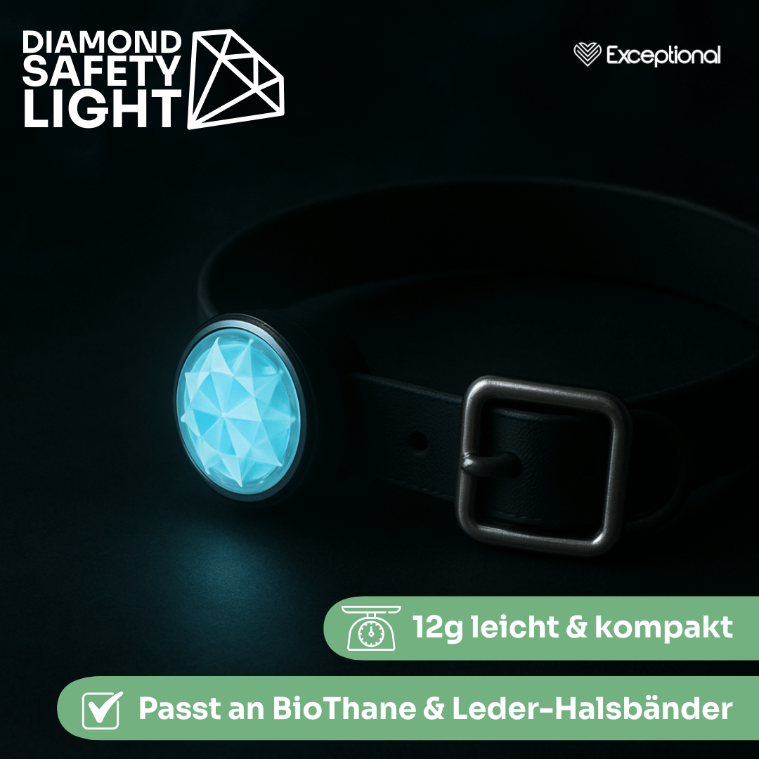Diamond Safety Light – LED-Sicherheitslicht für Hunde