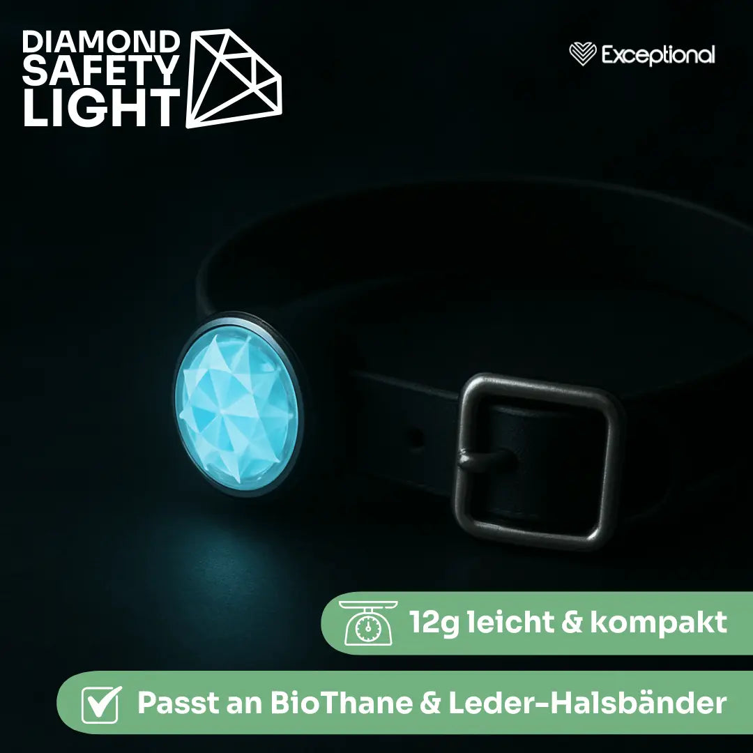 Diamond Safety Light – LED-Sicherheitslicht für Hunde Exceptional - Manufaktur mit Herz