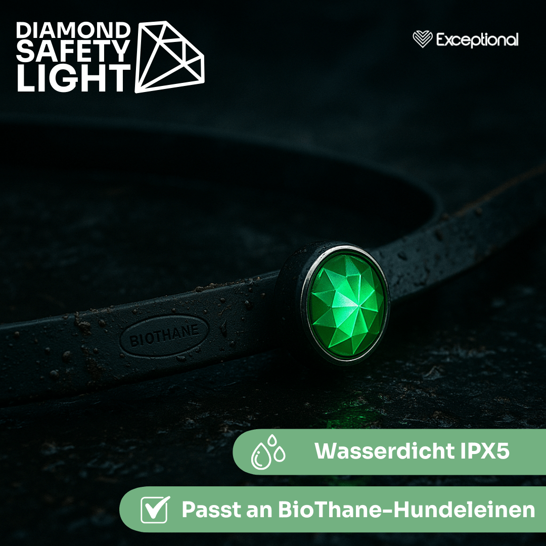 Diamond Safety Light – LED-Sicherheitslicht für Hunde