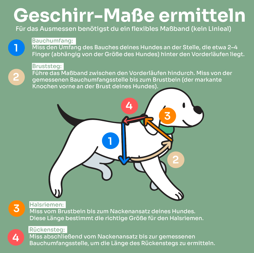 Hundegeschirr Soft "Leo"