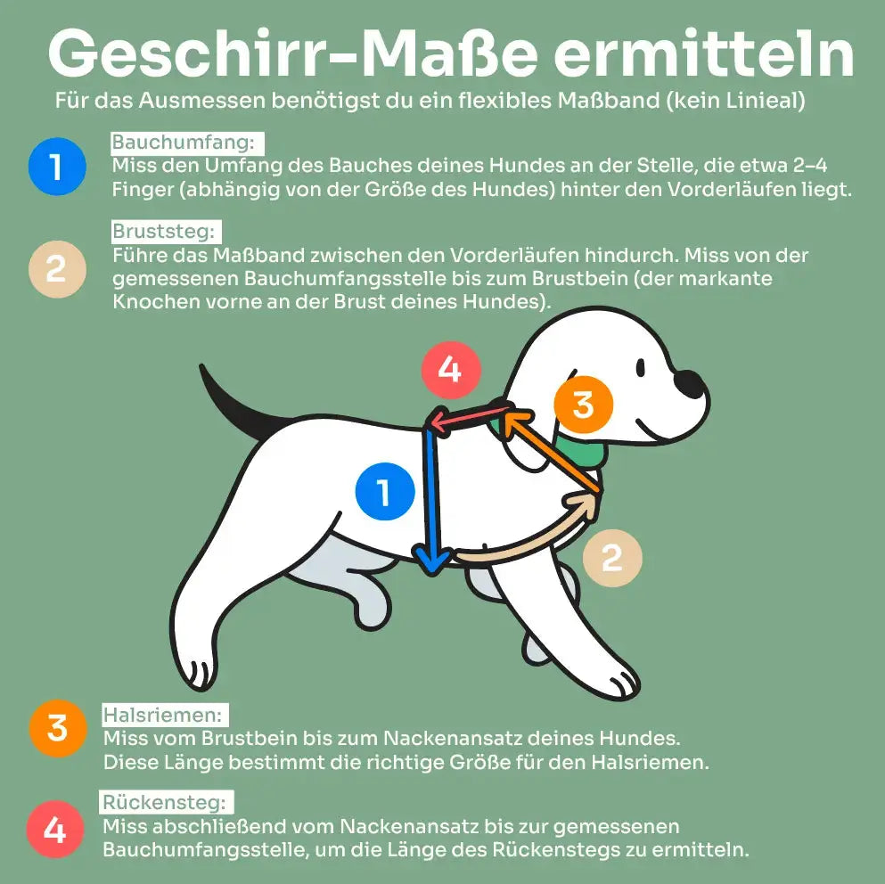 Hundegeschirr Soft "Uni" Exceptional - Manufaktur mit Herz