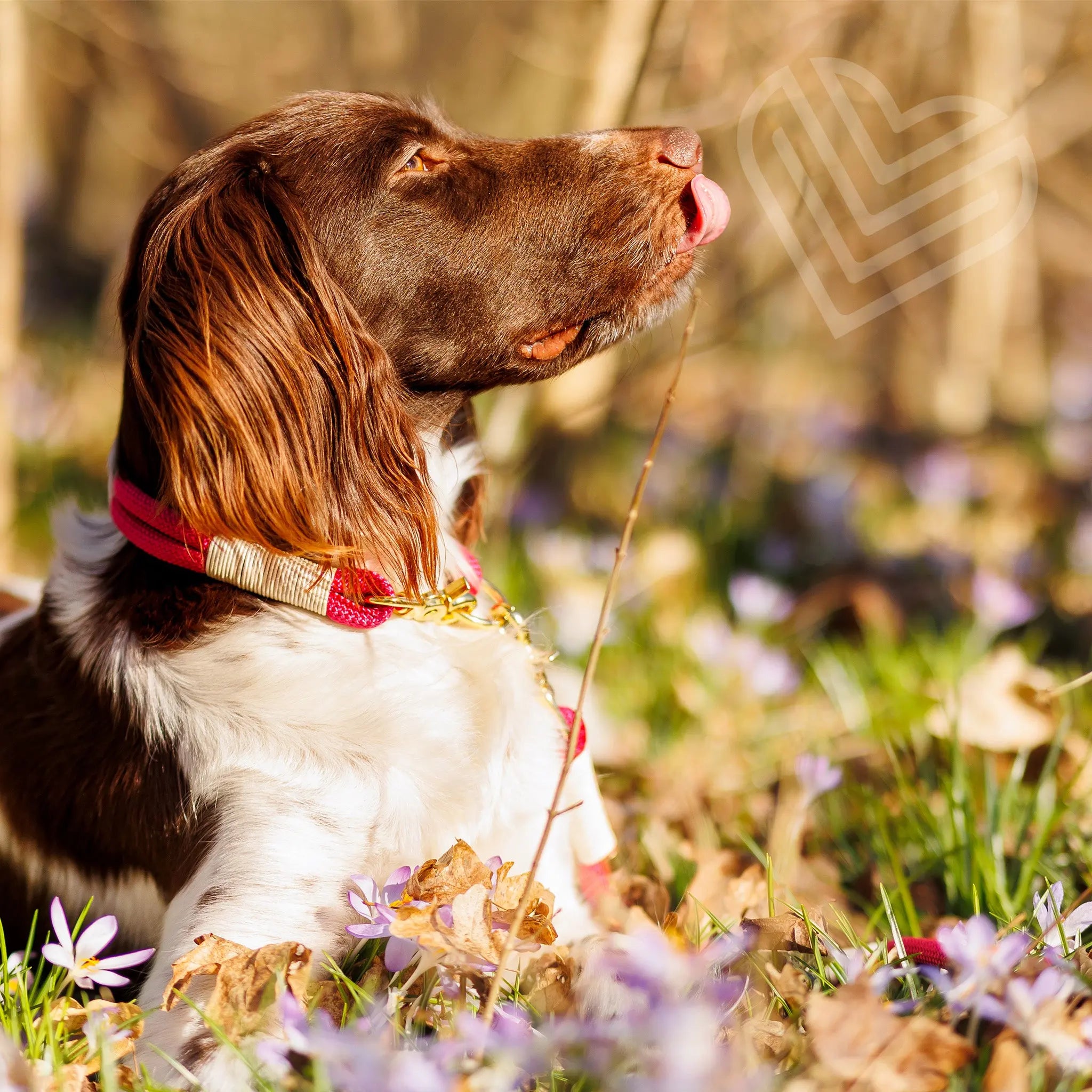 Tauhalsband 'Cherry Blossom' Exceptional - Manufaktur mit Herz