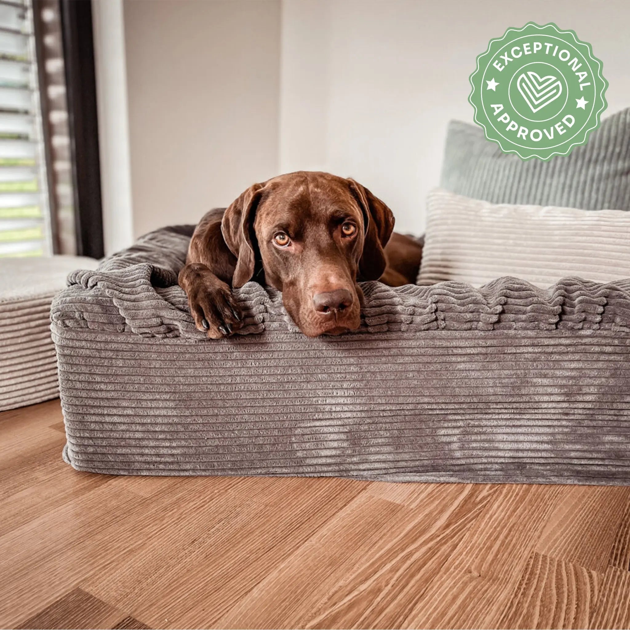 Hundebett Buddelbox Cord Exceptional - Manufaktur mit Herz