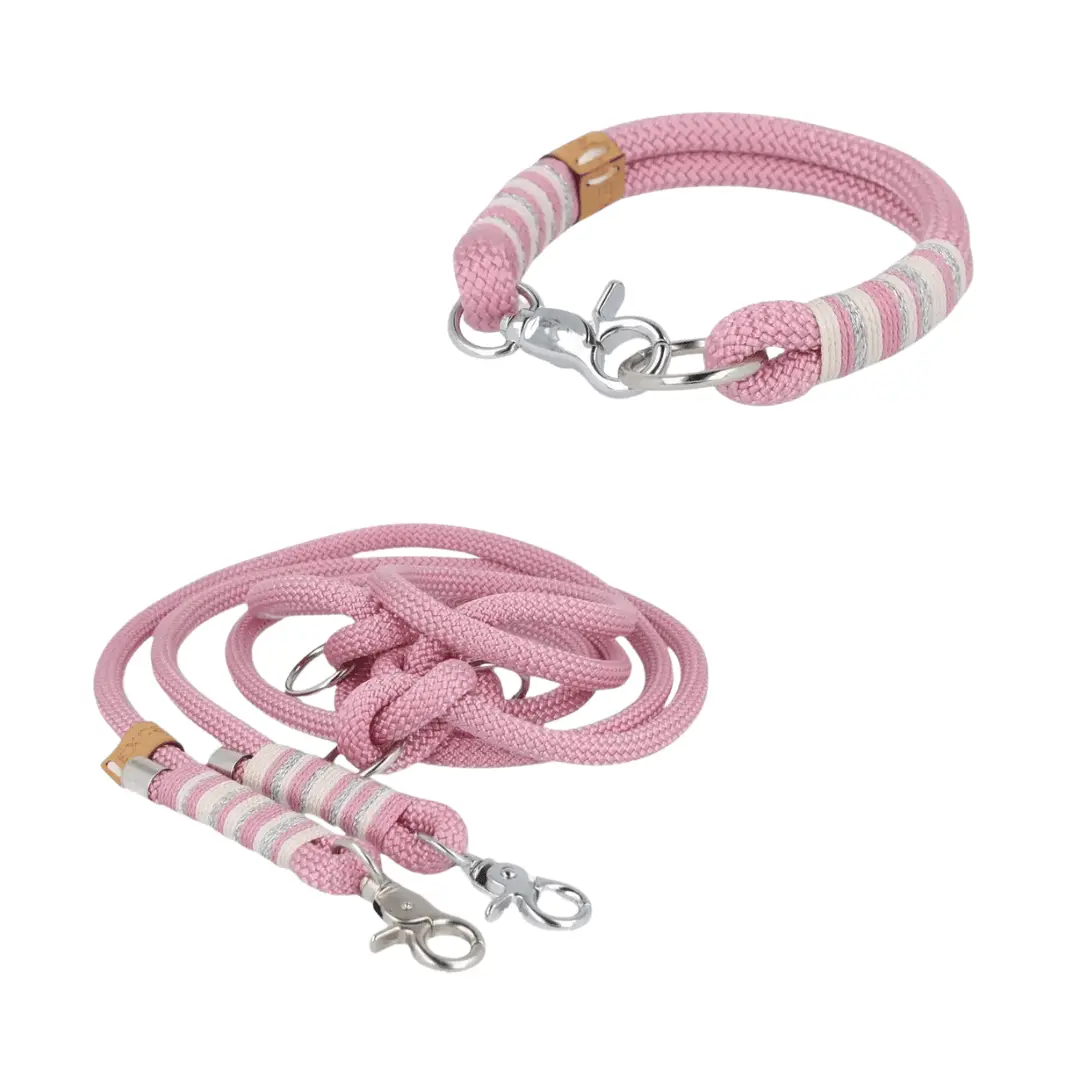Set small | Tauhalsband und Leine 'Rosy Belle' Exceptional - Manufaktur mit Herz