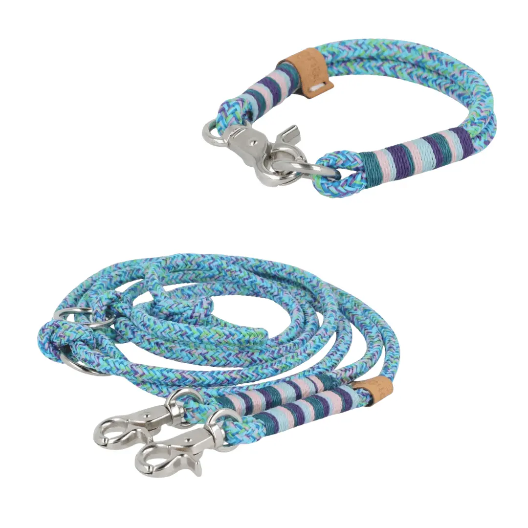 Set small | Tauhalsband und Leine 'Moonlit Mermaid' Exceptional - Manufaktur mit Herz