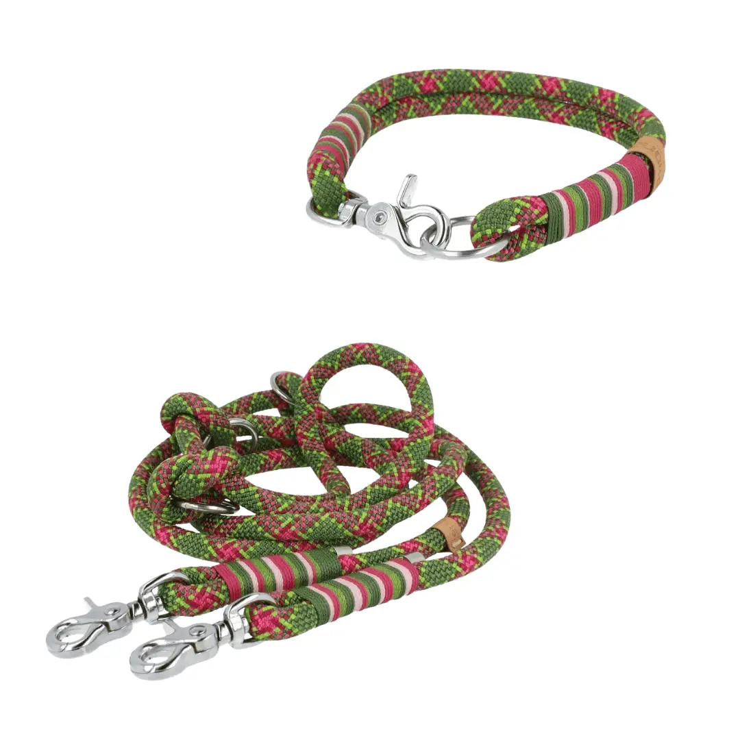 Set | Tauhalsband und Leine 'Wild Bloom' Exceptional - Manufaktur mit Herz