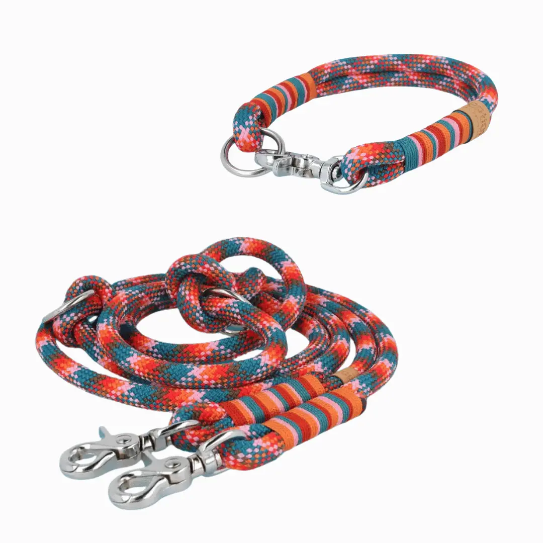 Set | Tauhalsband und Leine 'Glow of Joy' Exceptional - Manufaktur mit Herz