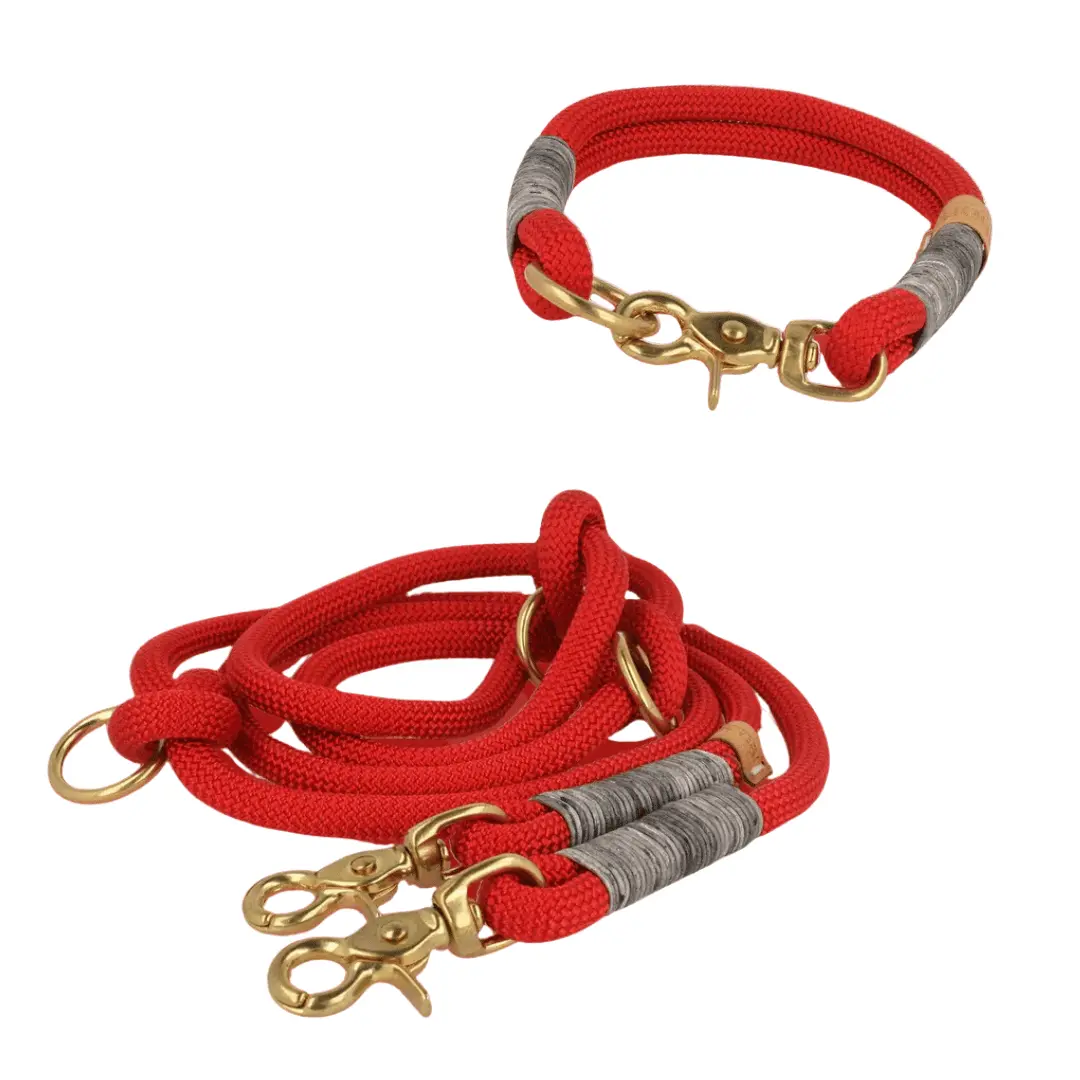 Set | Tauhalsband und Leine 'Rose of Smoke' Exceptional - Manufaktur mit Herz