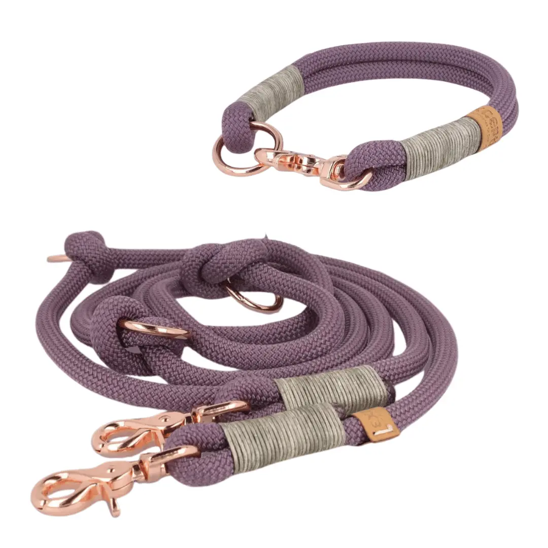 Set | Tauhalsband und Leine 'Mauve Grace' Exceptional - Manufaktur mit Herz