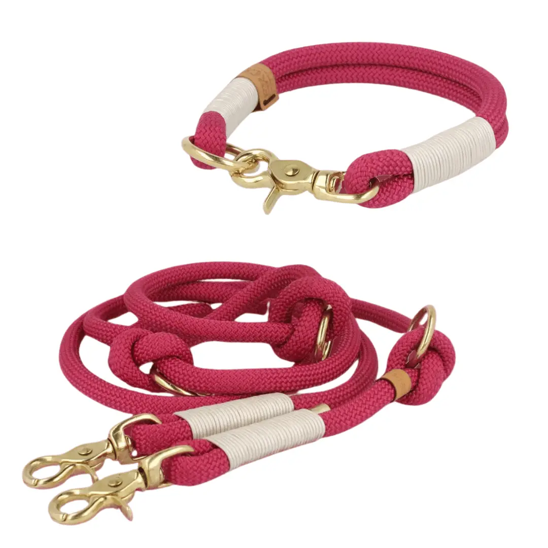 Set | Tauhalsband und Leine 'Cherry Blossom' Exceptional - Manufaktur mit Herz