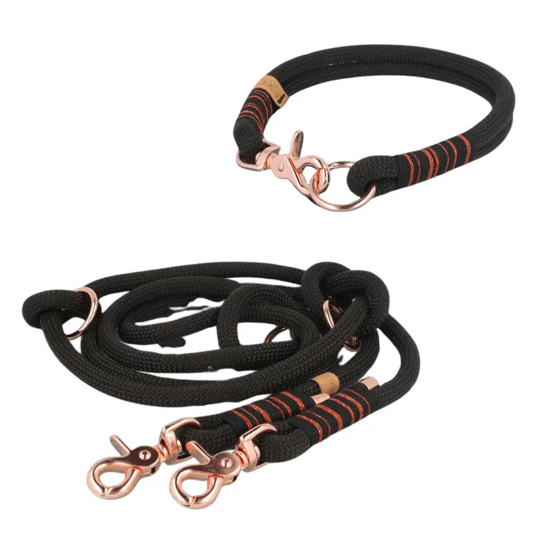 Set | Tauhalsband und Leine 'Noir & Rosé' Exceptional - Manufaktur mit Herz