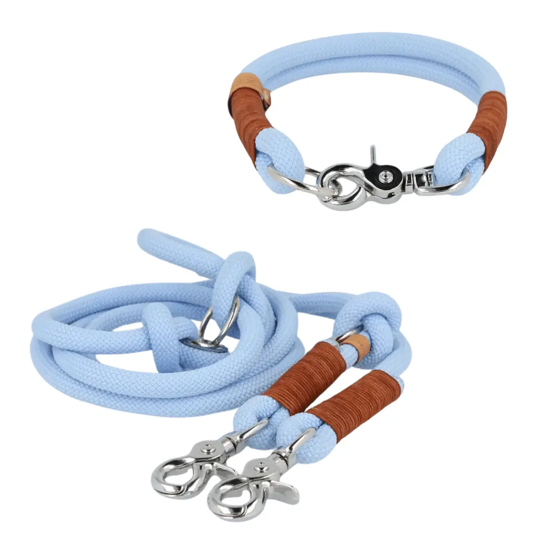Set | Tauhalsband und Leine 'Gletscherlicht' Exceptional - Manufaktur mit Herz