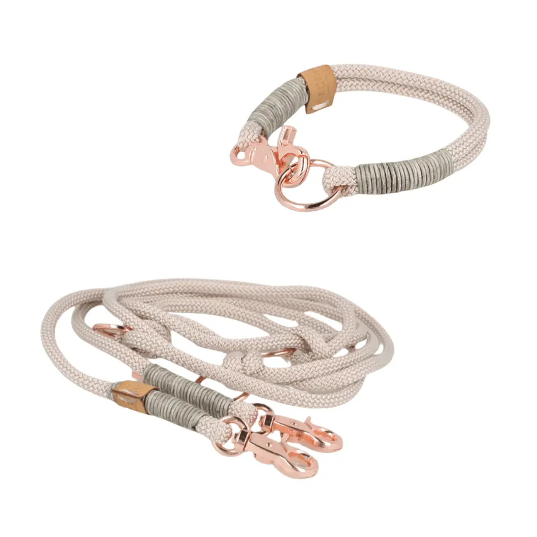 Set small | Tauhalsband und Leine 'Champagne Glow' Exceptional - Manufaktur mit Herz