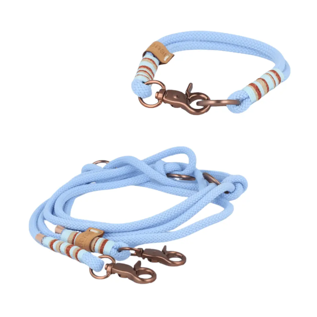 Set small | Tauhalsband und Leine 'Skylight Grace' Exceptional - Manufaktur mit Herz