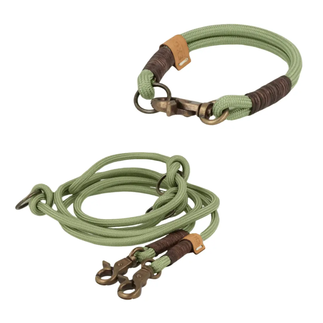 Set small | Tauhalsband und Leine 'Pistachio Grace' Exceptional - Manufaktur mit Herz