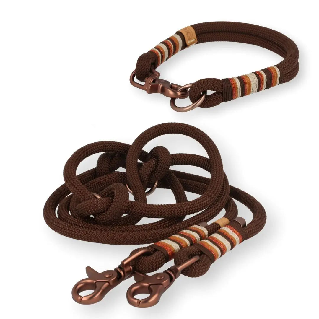 Set | Tauhalsband und Leine 'Terra Luz' Exceptional - Manufaktur mit Herz