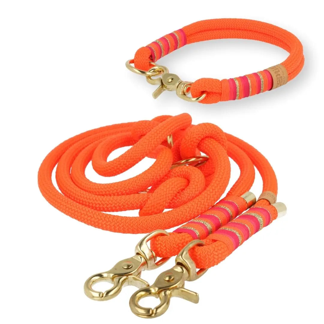 Set | Tauhalsband und Leine 'Fuego Ibiza' Exceptional - Manufaktur mit Herz