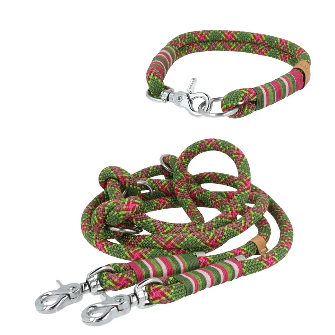 Set | Tauhalsband 41 cm und Leine 'Wild Bloom' Exceptional - Manufaktur mit Herz