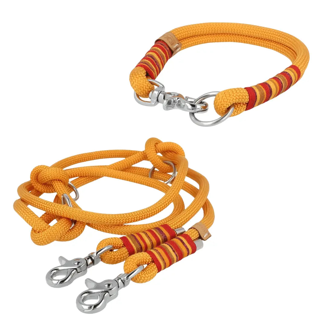 Set | Tauhalsband und Leine 'Sunkissed Shells' Exceptional - Manufaktur mit Herz