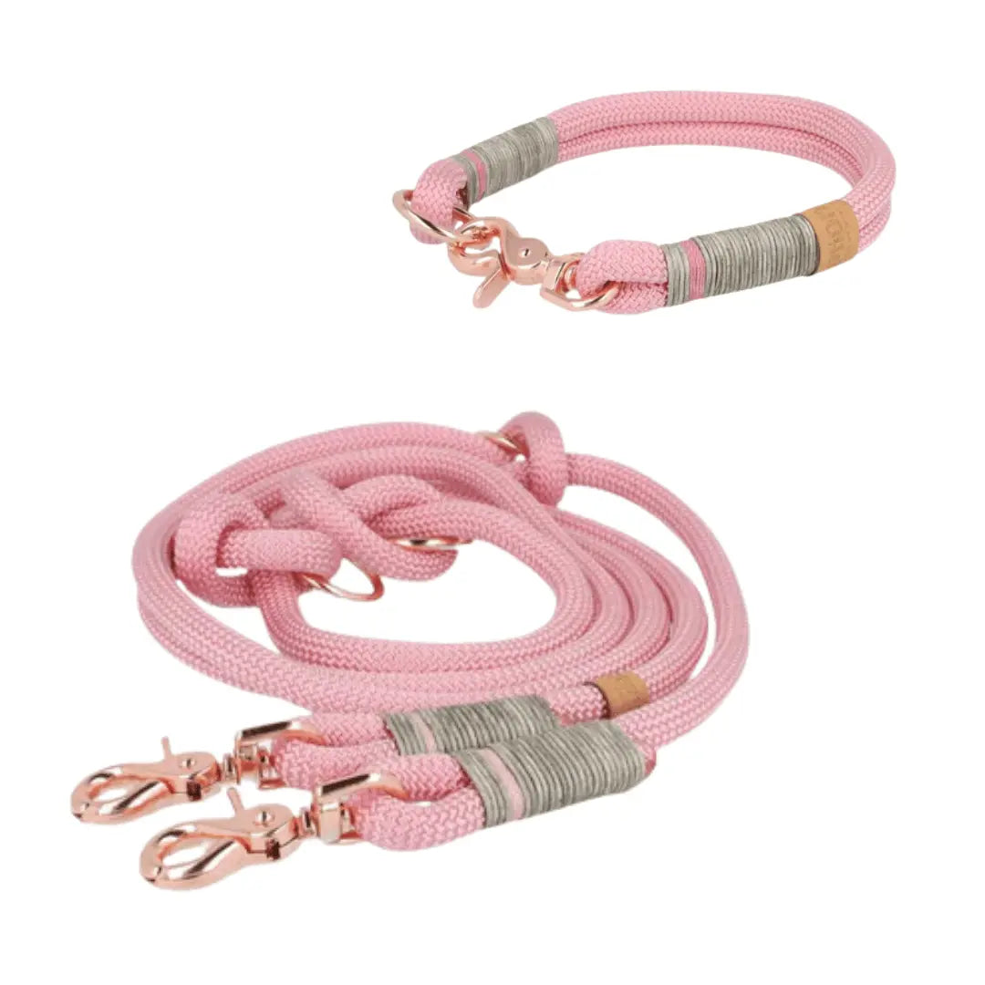 Set | Tauhalsband und Leine 'Whispering Rosé' Exceptional - Manufaktur mit Herz
