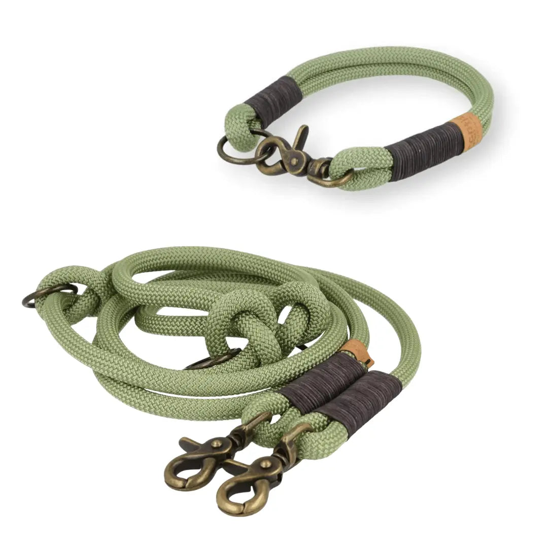 Set | Tauhalsband und Leine 'Pistachio Grace' Exceptional - Manufaktur mit Herz