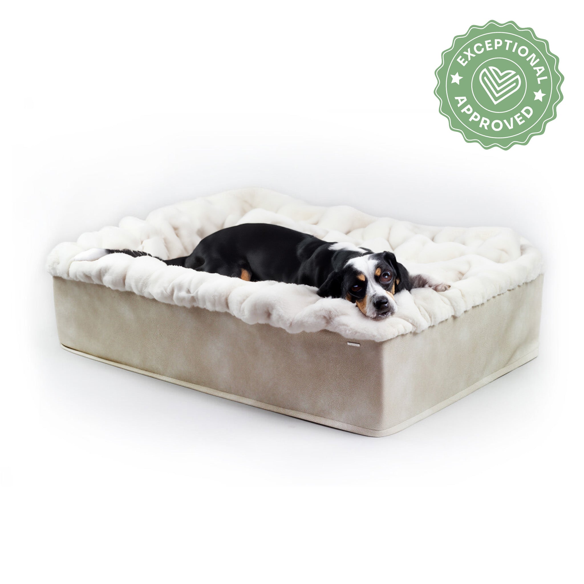 Hundebett Buddelbox Elfenbein
