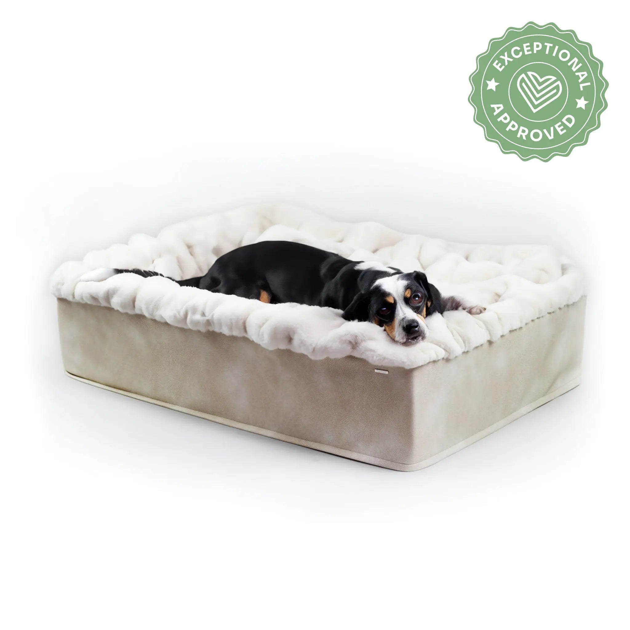 Hundebett Buddelbox Elfenbein Exceptional - Manufaktur mit Herz
