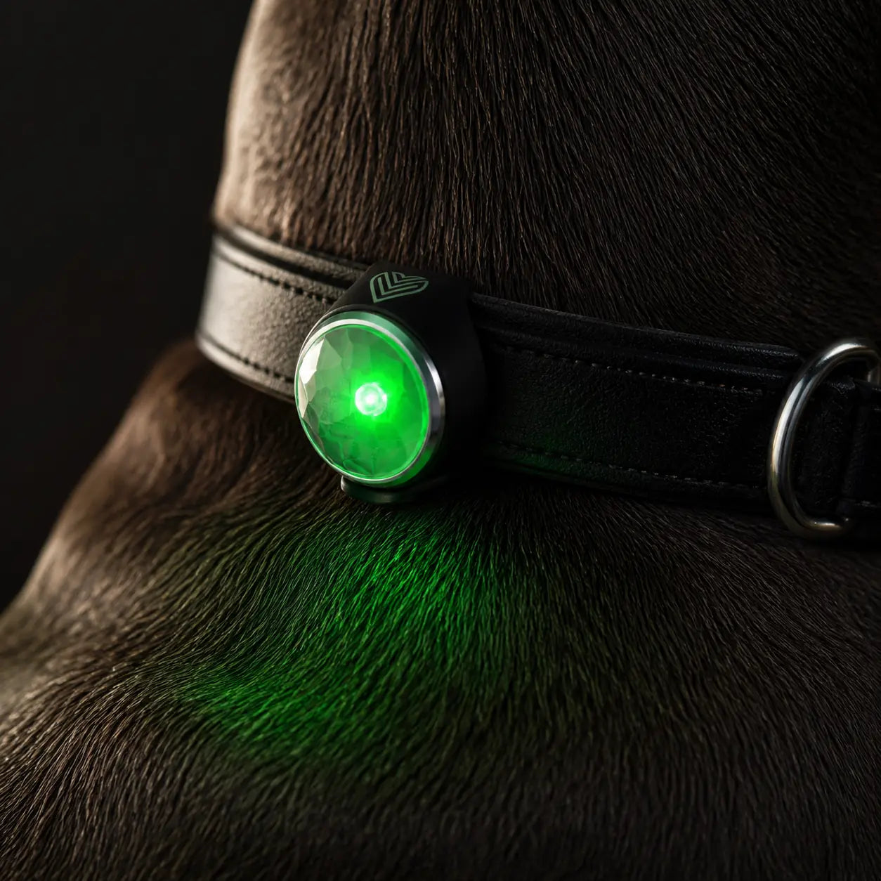 Diamond Safety Light – LED-Sicherheitslicht für Hunde