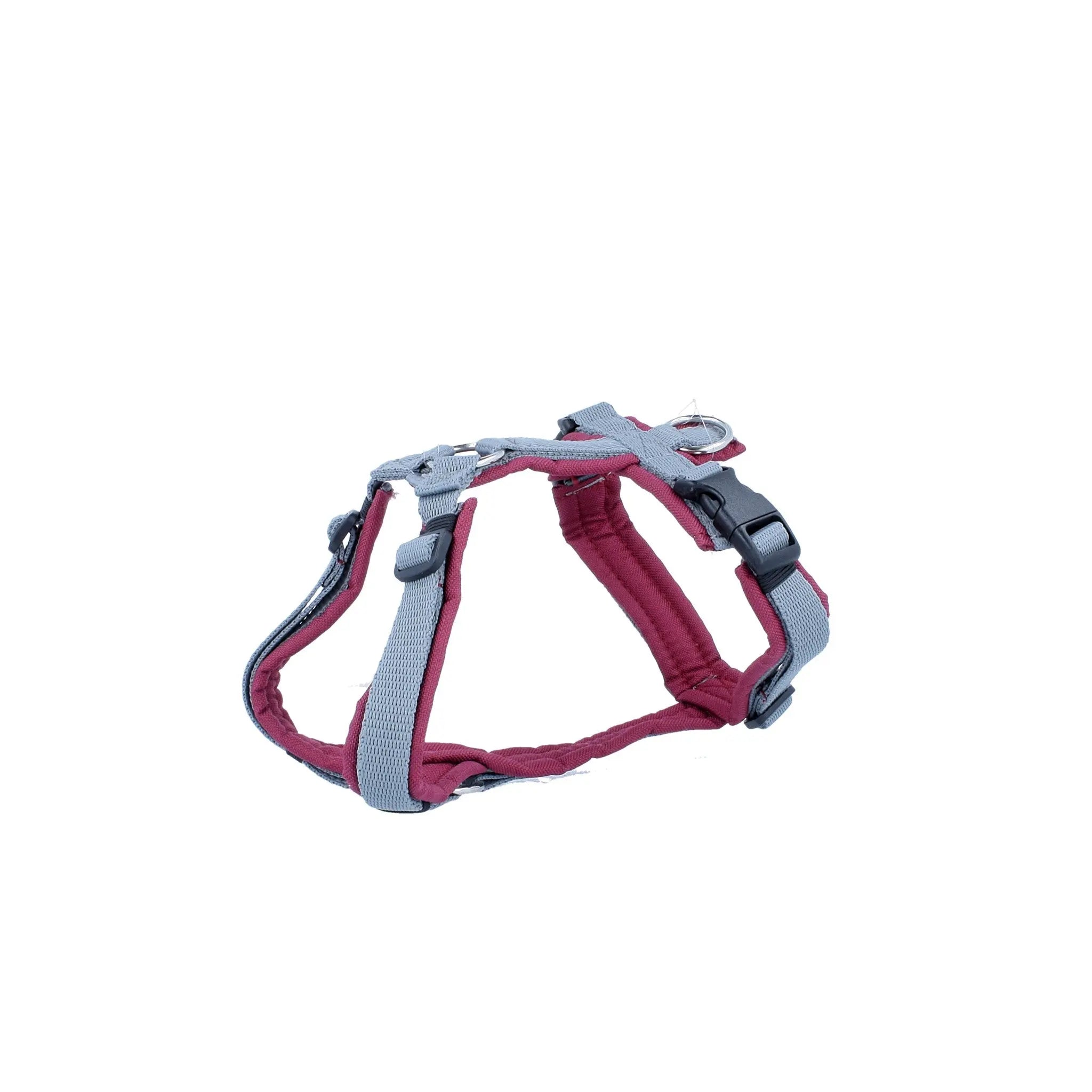 Hundegeschirr Soft "Uni" Exceptional - Manufaktur mit Herz