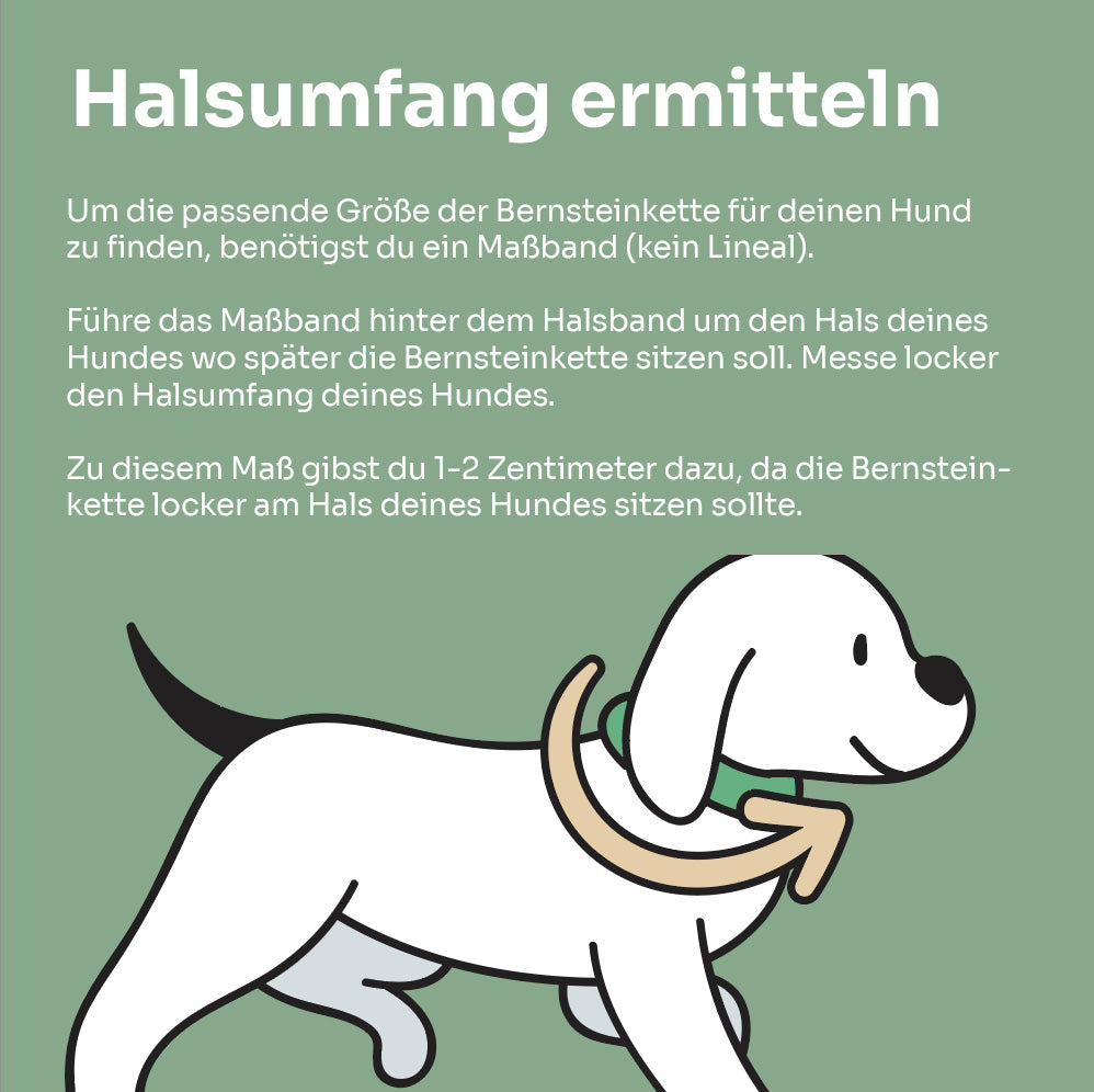 Bernsteinkette mit Türkis – 🌿 Schutz. Balance. Freiheit. 💎🐾