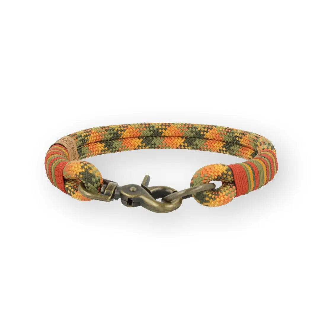 Set | Tauhalsband und Leine 'Amberwood' Exceptional - Manufaktur mit Herz