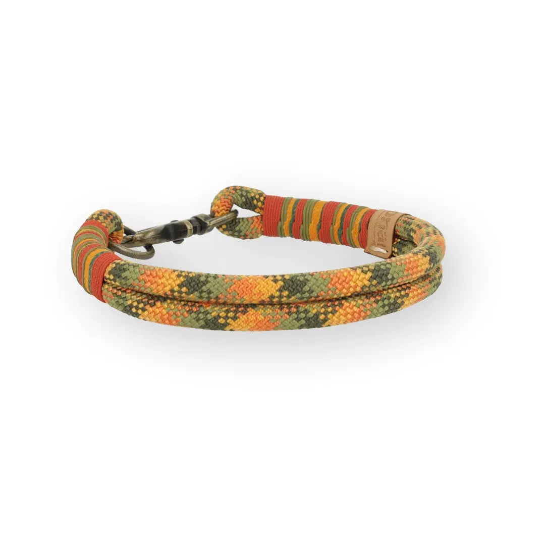 Set | Tauhalsband und Leine 'Amberwood' Exceptional - Manufaktur mit Herz