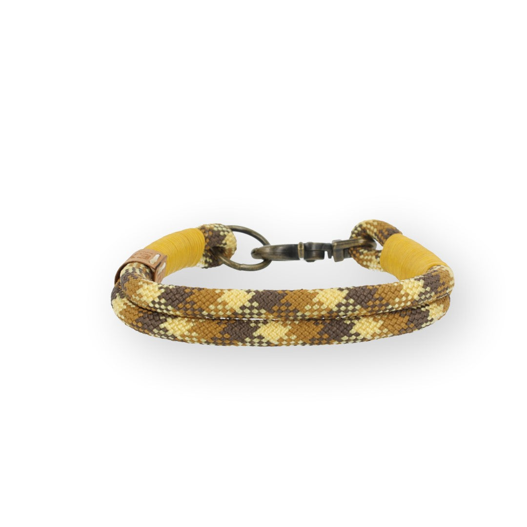 Set | Tauhalsband und Leine 'Golden Dune'